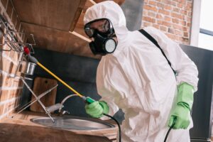 pest-control-worker-spraying-pesticides-on-metal-shelves-in-kitchen-1 (1)