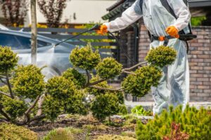 safe-pesticide-application-performed-by-gardener-in-full-body-protective-uniform